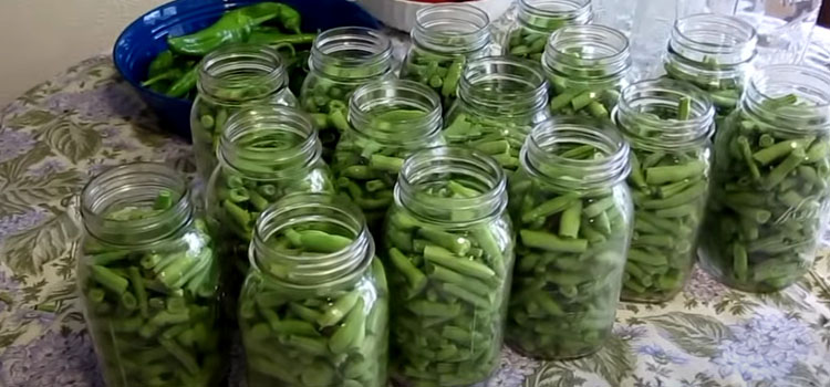 Canning Green Peas