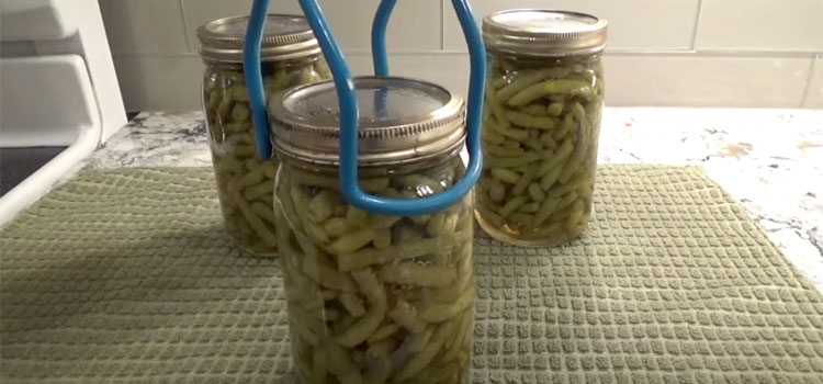 Three Jars of Green Beans