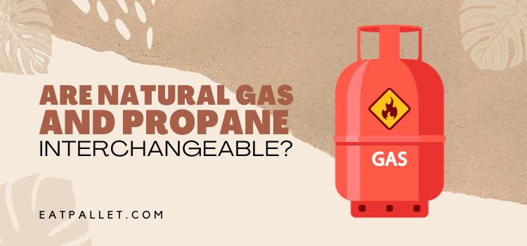 Are Natural Gas And Propane Interchangeable