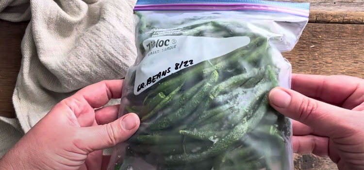 Frozen Green Beans on a Ziploc