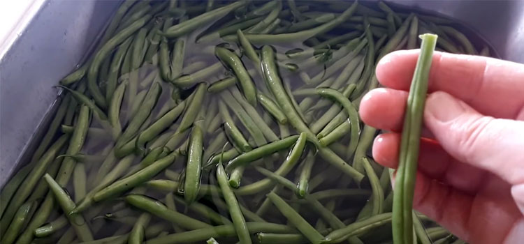 Washing Green Beans